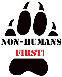 nonhuman